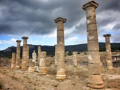 Bolonia