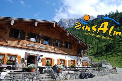 Binsalm