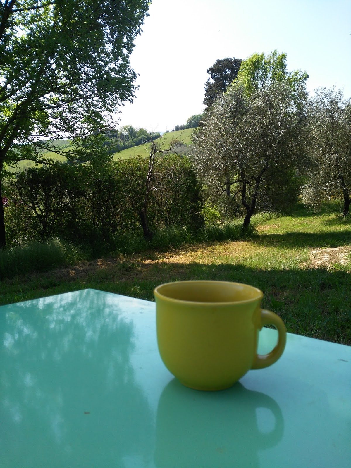 agriturismo la provvidenza castelfiorentino