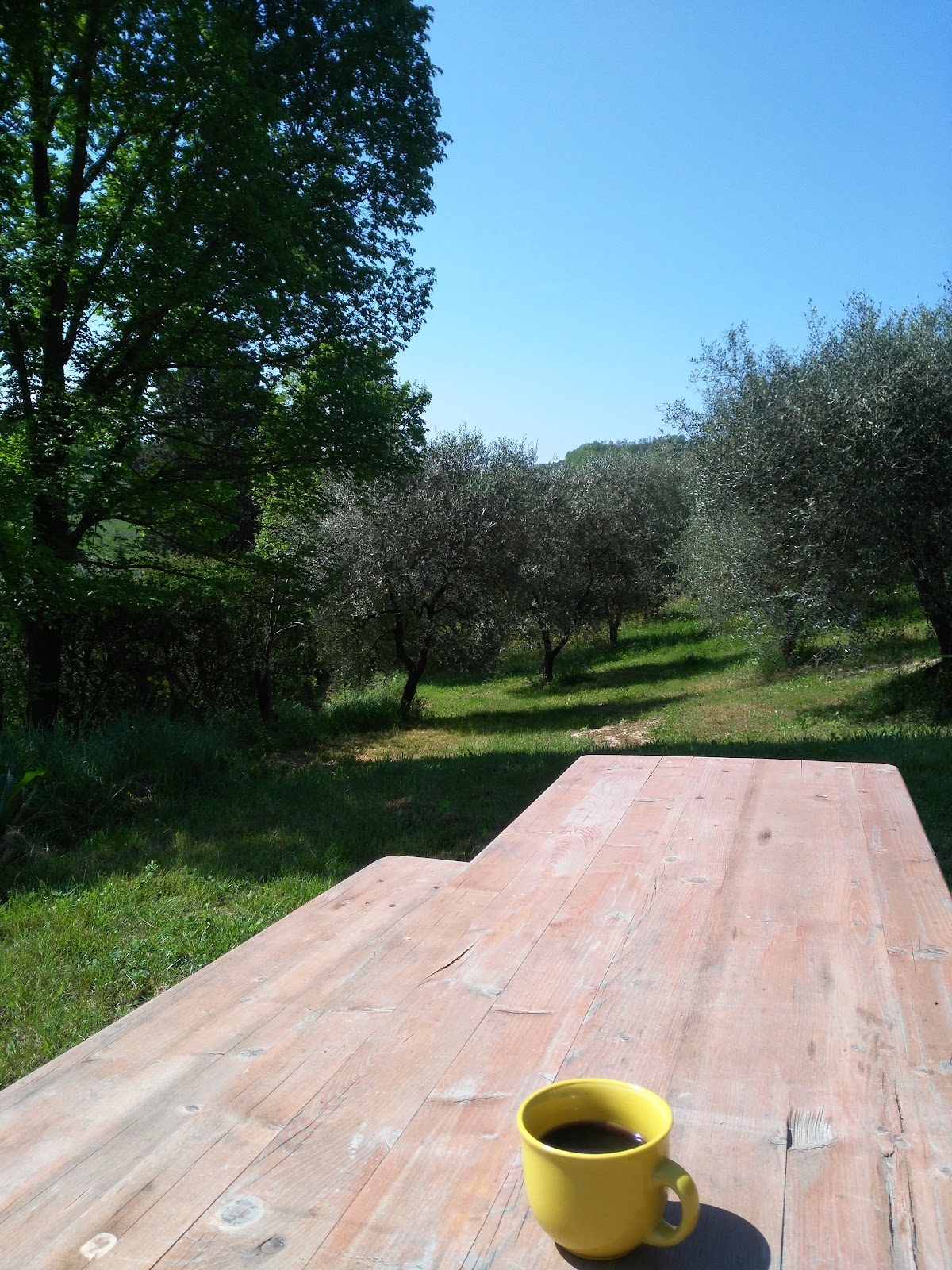 agriturismo la provvidenza castelfiorentino 2