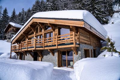 Hip Chalets Chalet Infinity
