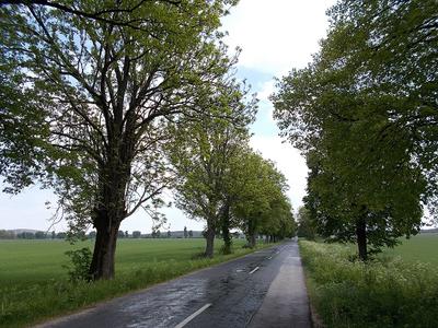 Zsófiapuszta