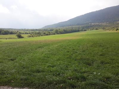 Kislugas panzió és vendéglő