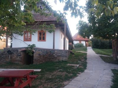 Terény