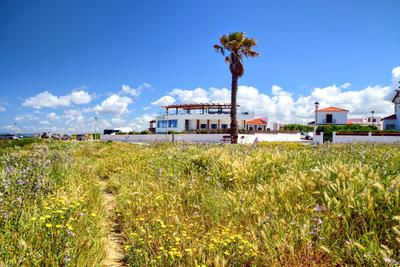 Mute Hostel Porto Covo